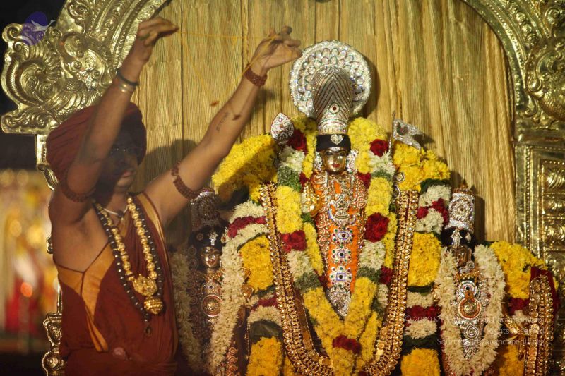 File:20151118 Photo 1325 1QLYEj7vovtAY5XHjCjARzhxM9wGilEcD.JPG