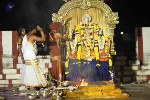 20151118 Photo 1326 1RP2sdk78jghpmS2gDIlUS9Sw2Vx0euAp.JPG