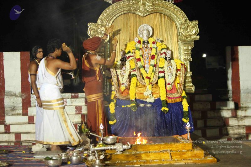 File:20151118 Photo 1326 1RP2sdk78jghpmS2gDIlUS9Sw2Vx0euAp.JPG