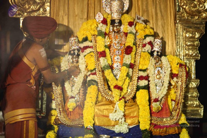 File:20151118 Photo 1330 14vBQa36IxFc1sxtwgkCz6VPFOuXmcmHt.JPG