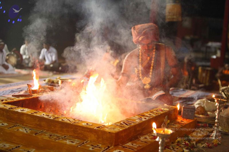 File:20151118 Photo 1352 1pF2GOPAJ-23gcCmk0bFOROiYdOD4KGpd.JPG