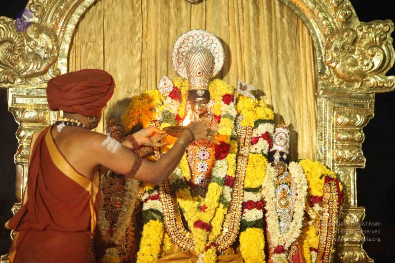 File:20151118 Photo 1360 1hMK5hDoSNmgOOIMW4HByWrQApBkx0n3E.JPG