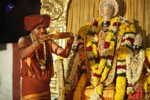 20151118 Photo 1364 1xFlNIZCEW7eYl3YHOXOcro7MWH5Xvwnl.JPG