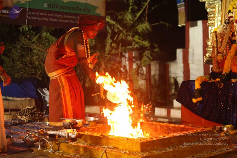 File:20151118 Photo 1368 16F3Dyj1XYQMS9cUAzgCywKRKL-L8NMGa.JPG