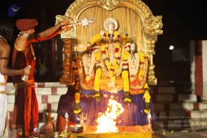 20151118 Photo 1369 1oKn1TMwIT-Gb4Cwju8YDBv73yQeOW0Xm.JPG