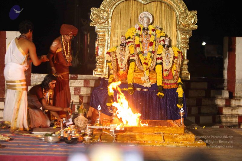 File:20151118 Photo 1374 1hdLDL7kfPlYZ1wSuhKZTascRlpjHMK6R.JPG