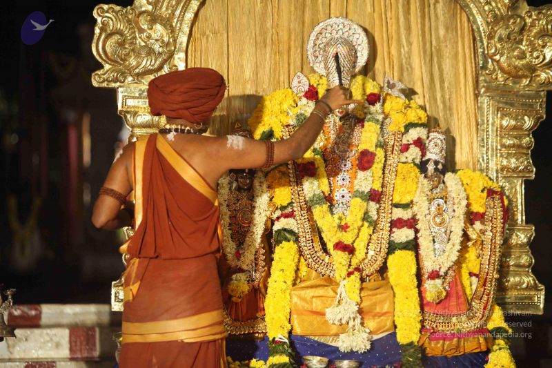 File:20151118 Photo 1376 1IZK 6K1s6nB8SyXT7uoUhvO-uWd2Sjwc.JPG