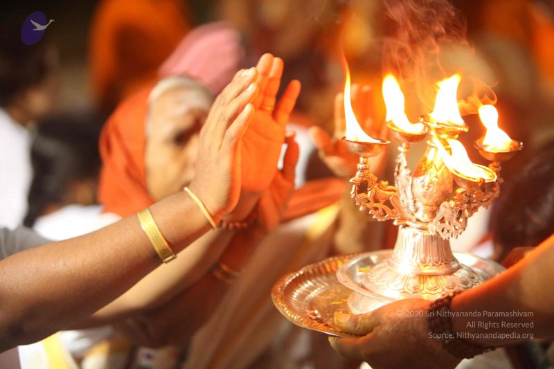 File:20151118 Photo 1391 1cauq U7kBseCiMwjE0rIFeCCUxGNi35Y.JPG