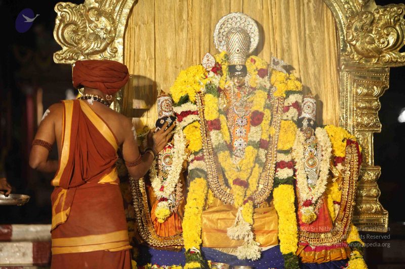 File:20151118 Photo 1409 11uDADuNkSNTokrfSoHSJcqoSN4QubjOK.JPG