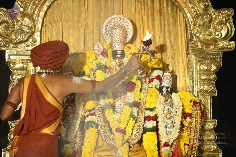 File:20151118 Photo 1414 1rfljb0j8qLTctCcUusf6zRwtLvAkZO8A.JPG