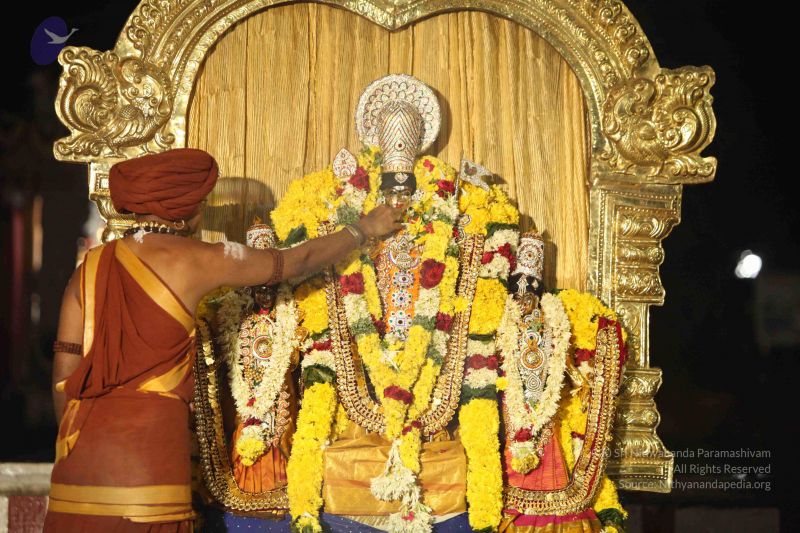 File:20151118 Photo 1419 1 5p13ebLqlQR1IIopUhJ4Mkj-O64DHkQ.JPG