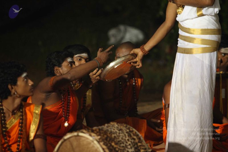 File:20151118 Photo 1421 1NoG3WtqSe eOZeBxRZNfZbB4DsZ2hfFi.JPG