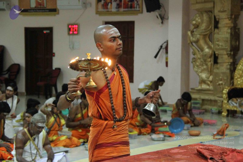 File:20151118 Photo 1445 1MTBXqAimtTcIT-ctZ8A69HzkYTe2BeY2.JPG