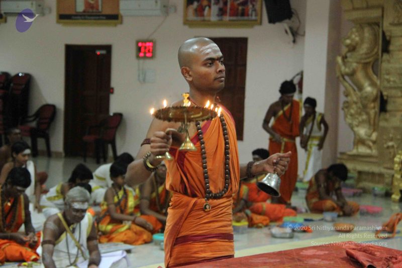 File:20151118 Photo 1447 1yGEKfbiCENvV9WI1QvoZ7Sn7JDq-Qh6N.JPG