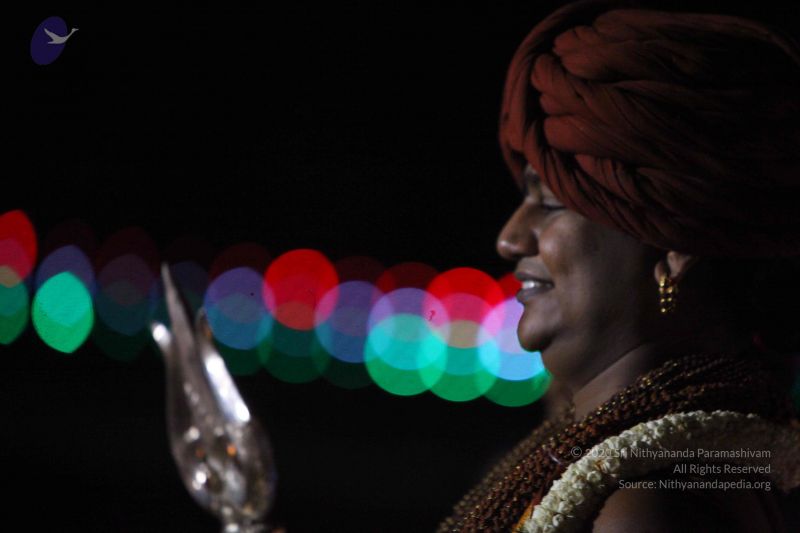 File:20151119 Photo 1664 1SOx9UIeBjYPQ qtWFg4RA1i01SXxCpzq.JPG