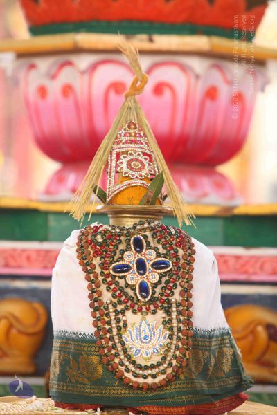 File:20151121 Photo 1035 1v9FHJS3NtcSZPeuK7ZeuUXmMXX77unDN.JPG