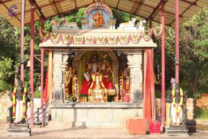 20151121 Photo 1046 1jXohtdBMrW9URdCLFe lKJupM5I3aFfE.JPG