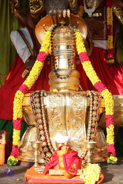 File:20151121 Photo 1049 1URsgVLPDkzfAYz5M7yNyc27VZZ4AWLg1.JPG