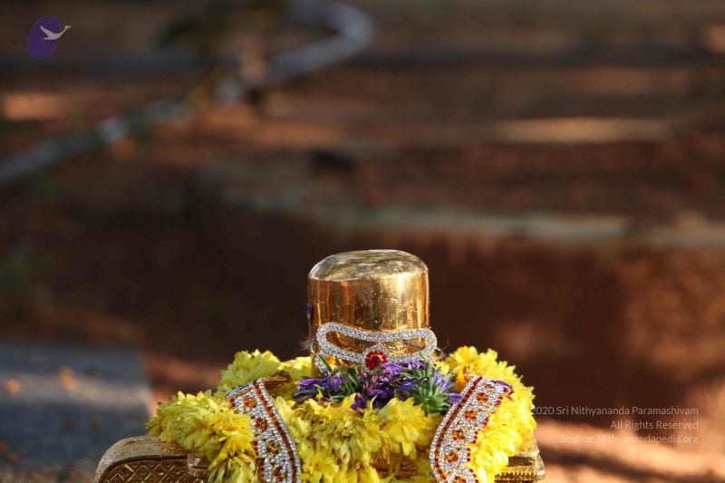 File:20151121 Photo 1058 18XwNpPmN7M2hCdBDoi3FETmovj buSwG.JPG