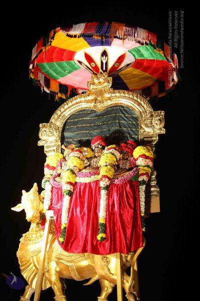 File:20151121 Photo 1399 1WgwVd r8wnKVyohIfXwjP5gUk7p7Vmhz.JPG