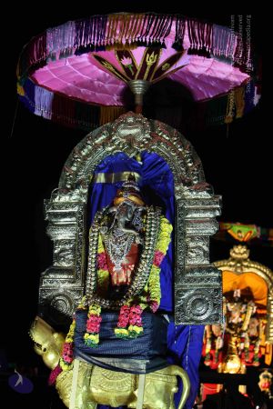 20151121 Photo 1437 171zIefeaKs07xXuzAZLoSblV8BXdM5oI.JPG