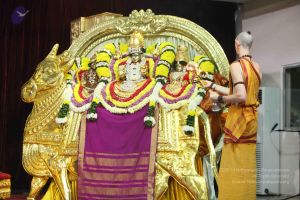 20151122 Photo 1002 1A0dtX3KuwLCXPCTvNEj4vwNl8GV5uFSV.JPG