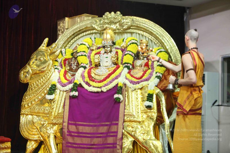 File:20151122 Photo 1003 1s7AjCH6NZ1No4iihAxZ j491ik7OmFpP.JPG