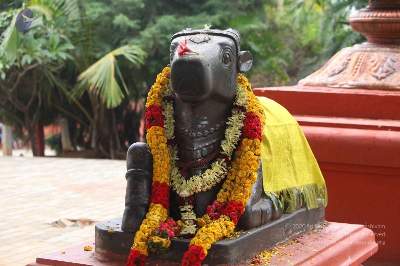 File:20151122 Photo 1016 1L pDmqTGY8y0yZEn-SgftQWVSR2iBwiQ.JPG