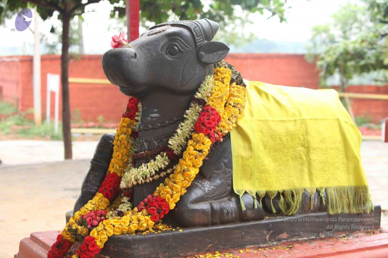 File:20151122 Photo 1017 1lVaQbSlCkey3Er9qEWWLWes3NUhfEyFv.JPG