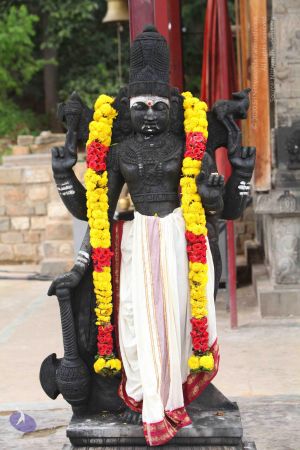 20151122 Photo 1020 1Ed4YCcoUd-ulVvBgMNTjxu sdpXfG0dB.JPG