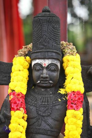 20151122 Photo 1021 1xGZIhQSm4GpvQVvCg-93mMqz cxAsgow.JPG