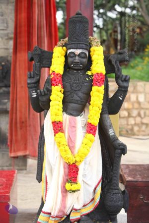 20151122 Photo 1022 16-jAk3y8B 7UXO4ldgPKC4AAVkHTfVAv.JPG