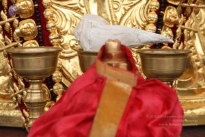 20151122 Photo 1025 1J0gqqWbKrML1X7Y4XiI5TRmcyTr21bLI.JPG