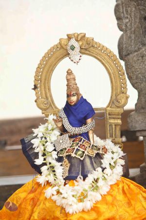 20151122 Photo 1028 13bAd5bZGaEMifVW KQIiFblw4BbC64xP.JPG