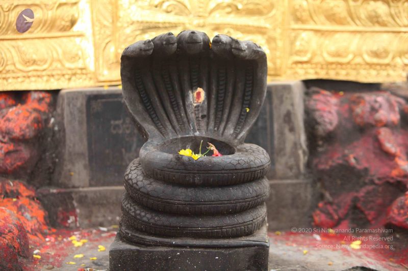 File:20151122 Photo 1035 1Cq9fW5KSUMhfSnNjZr0AzVl7RKvzIcaV.JPG