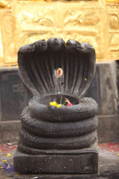 File:20151122 Photo 1036 126AZWeZQ77wZ3RBt3ypnlAH1ahciatMP.JPG