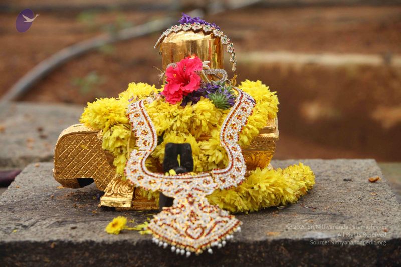 File:20151122 Photo 1040 1bWxZJtEfjRwhn9TkxFAbAP7H0hfwEa5z.JPG