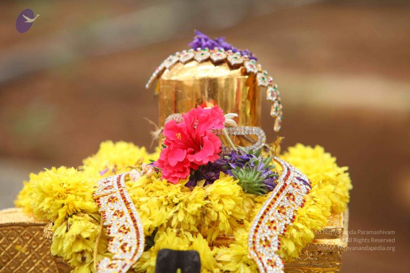 File:20151122 Photo 1041 1rZecCmYRUQ6rt53PjL2MTG0a6mHCXrME.JPG