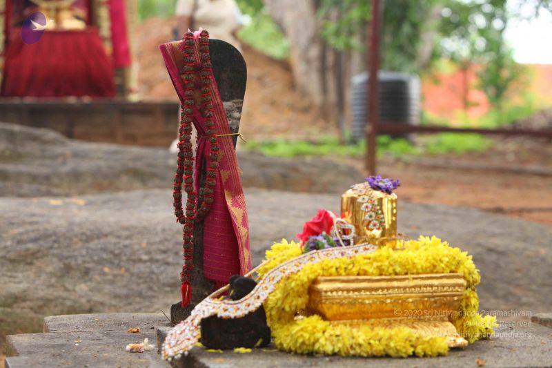 File:20151122 Photo 1042 1QXOWJDU5J3yvGN5ZlMCjI16xvd5Yeq8P.JPG