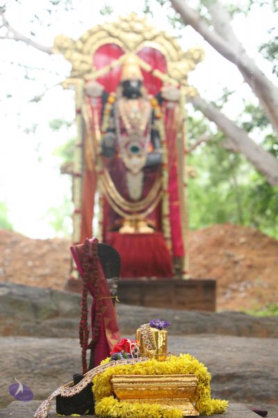 File:20151122 Photo 1047 1DtdwvY-UEIOp7QwDn4XI2RYFTseDGcXD.JPG