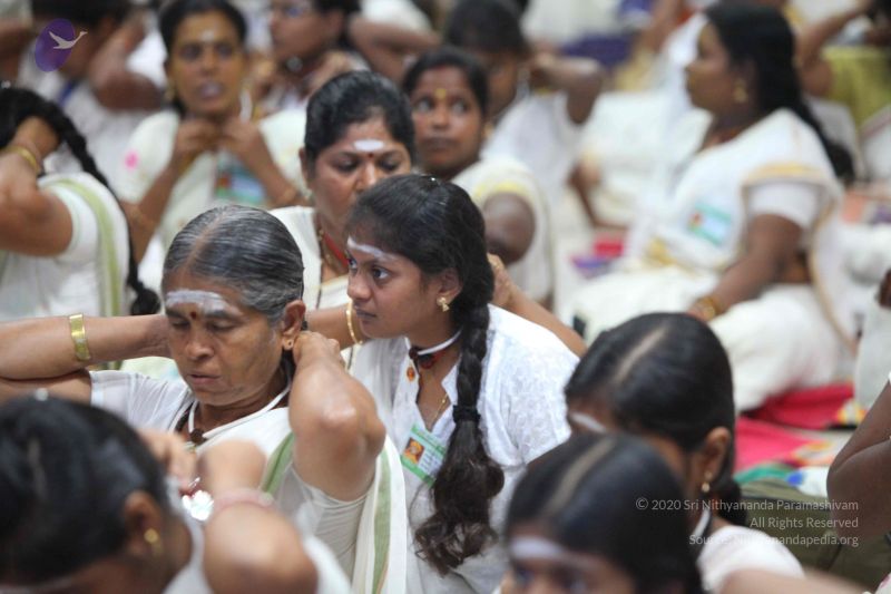 File:20151122 Photo 1118 1A6f hC1hA8TRZm1FWMQSq0w0GefIXfqR.JPG