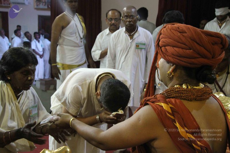 File:20151122 Photo 1300 14P8DEh04D tLJvixJAMArLrkp2DCQUSZ.JPG