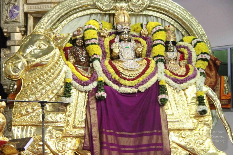 File:20151122 Photo 1369 12 Q-HbbETx0hYh-PtYI3t5HIgOnOXITa.JPG