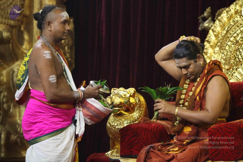 File:20151122 Photo 1581 1Vg9CxmI5qNB4X2Yblb0f0 id6SEK5kak.JPG