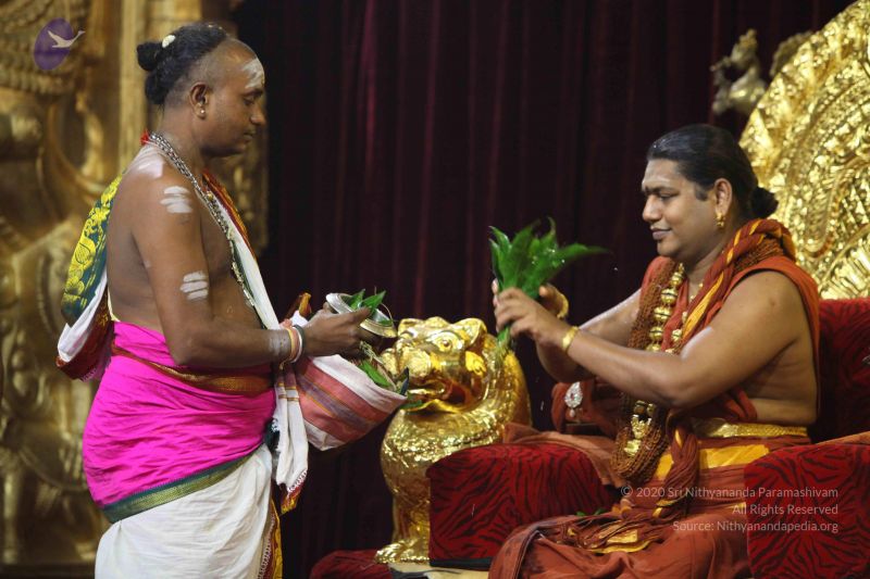 File:20151122 Photo 1582 1-IOn0ozvtdQR5HAtaEqwcwGTHJSlwO7p.JPG