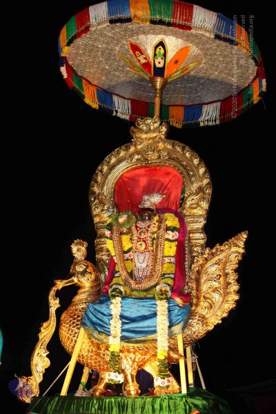 File:20151122 Photo 1759 1a7zyZaiGWQBOcJwI0YL2MrnEbvvOhvU6.JPG