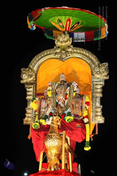 File:20151122 Photo 1762 1EWamrTKbM7IhoJAttTHEi0zadVicdFSY.JPG