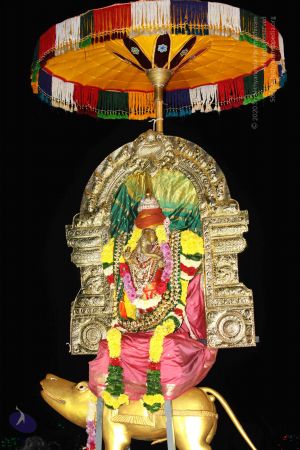 20151122 Photo 1764 1SDR8JiINKTeOfIU0WEemG-kp5 LAWRmV.JPG