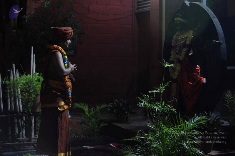 File:20151122 Photo 1811 1KpiRmDENeJQnC9toLqb9Pxd05M4b5eoj.JPG