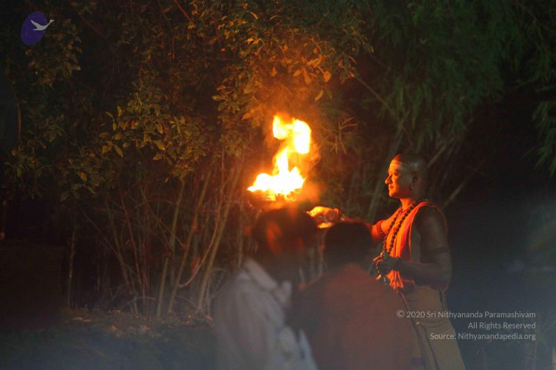 File:20151124 Photo 1225 1W2gypTZsBal2IVYeWDbSvqAYqzEMbaPY.JPG
